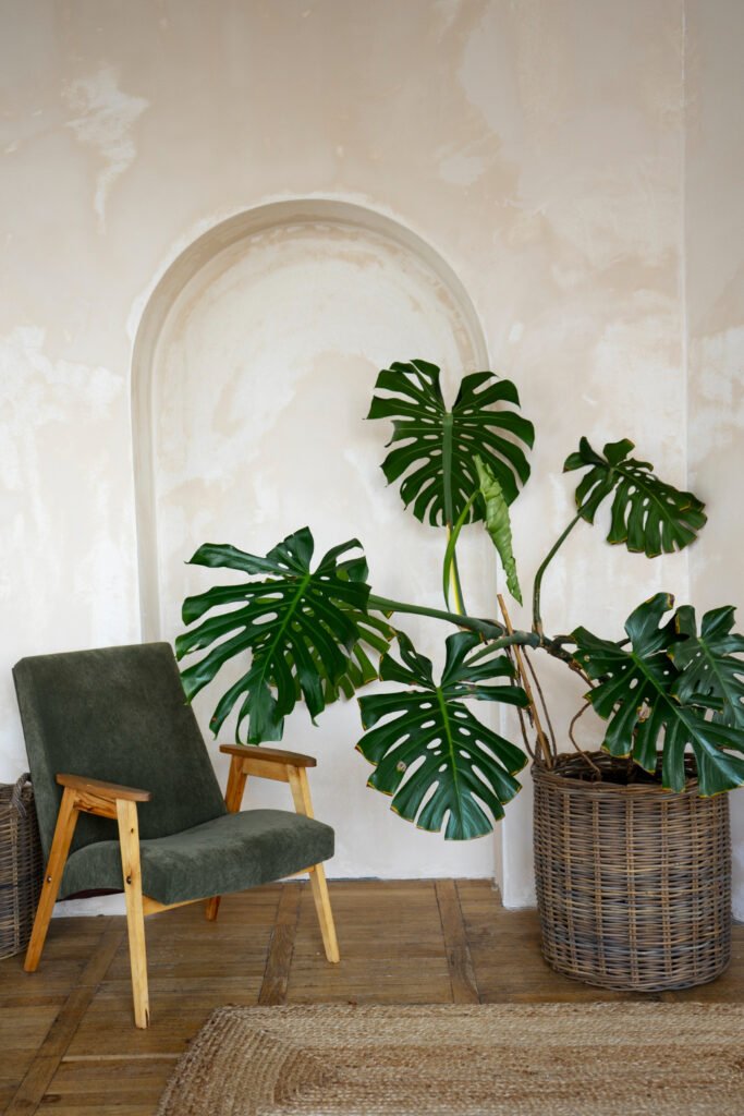 Wholesale home decor bulk order deals featuring discounted macrame, jute baskets, and sustainable artisan products from India